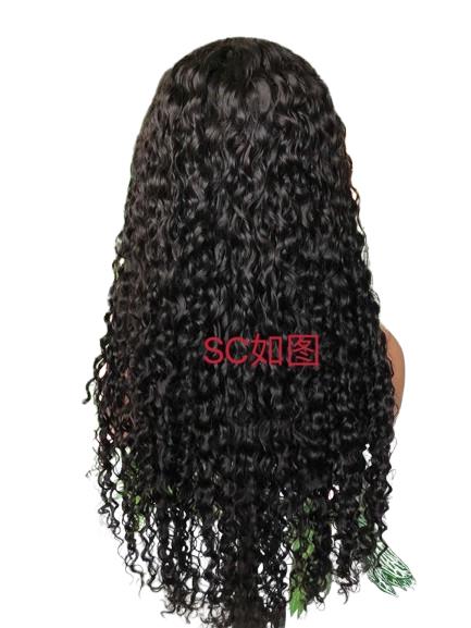Deep Curly Human Hair Wig - Long Length Full Density